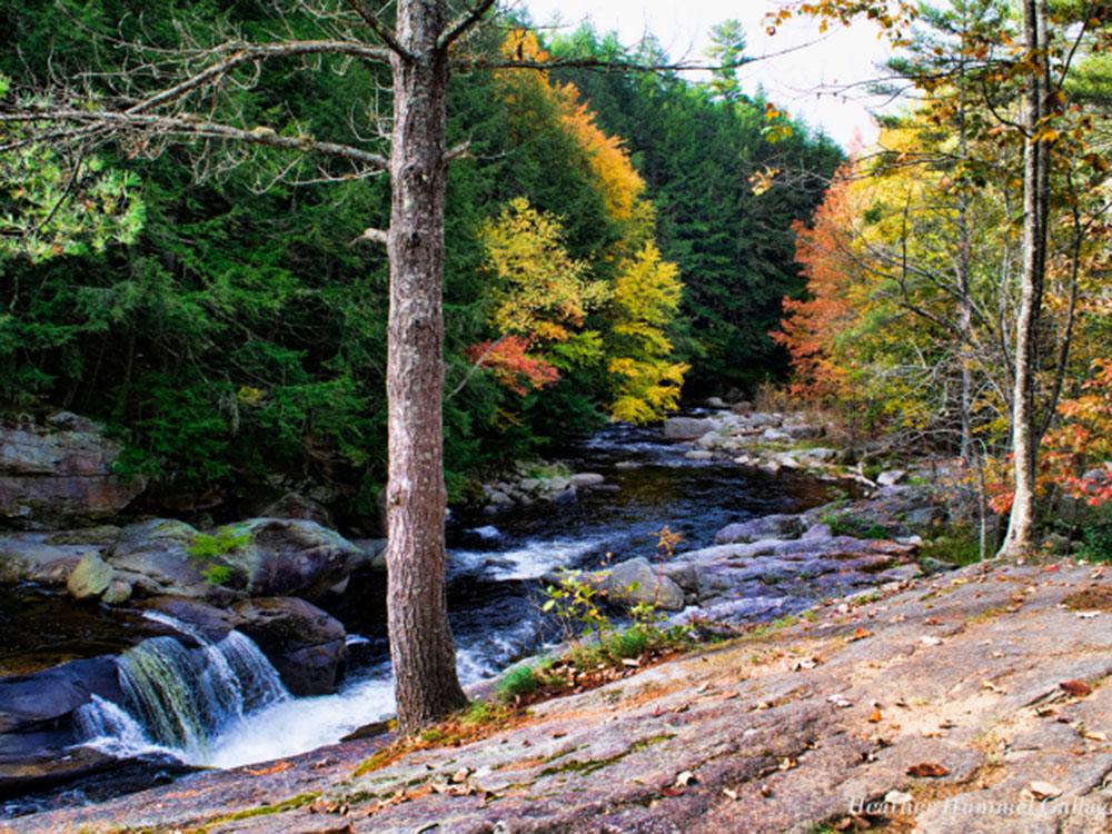 A stock photo of a river surrounded by autumn trees nearby at CROW'S NEST CAMPGROUND