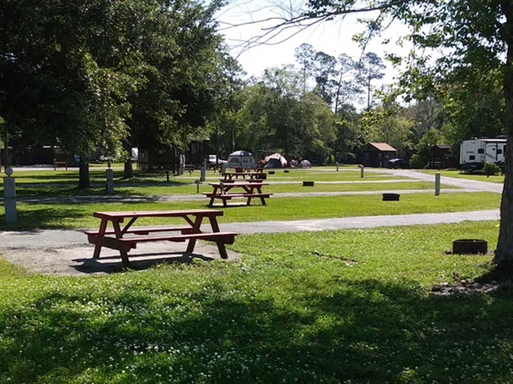 A line of picnic tables at RV sites at LAKE CITY CAMPGROUND