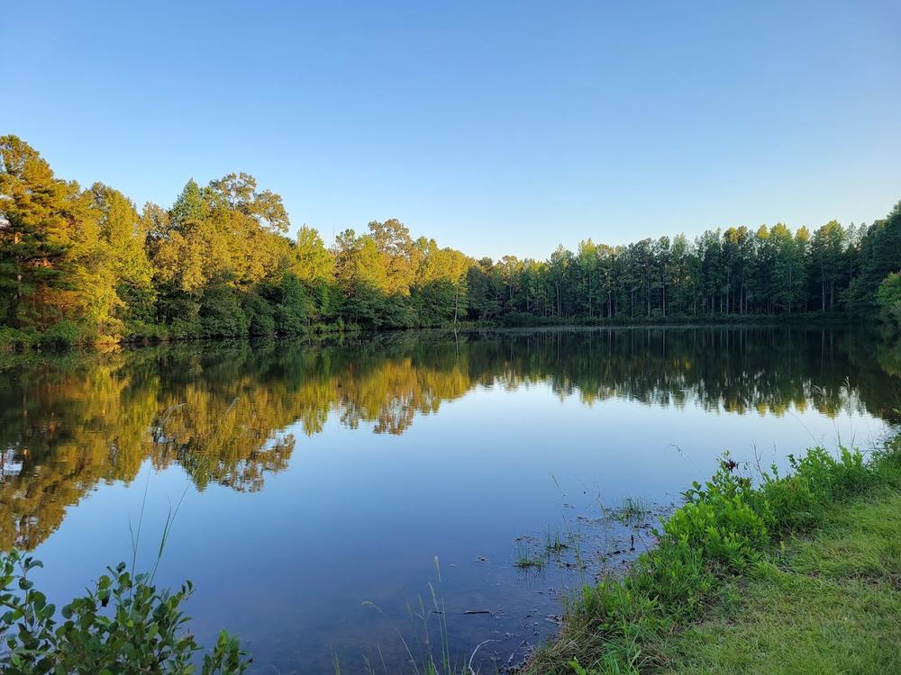 Water by the sites Peach Queen Campground