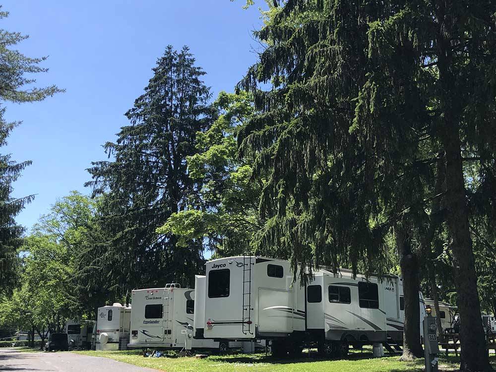 Trailers pulled in under tall trees at HARRISBURG EAST CAMPGROUND & STORAGE