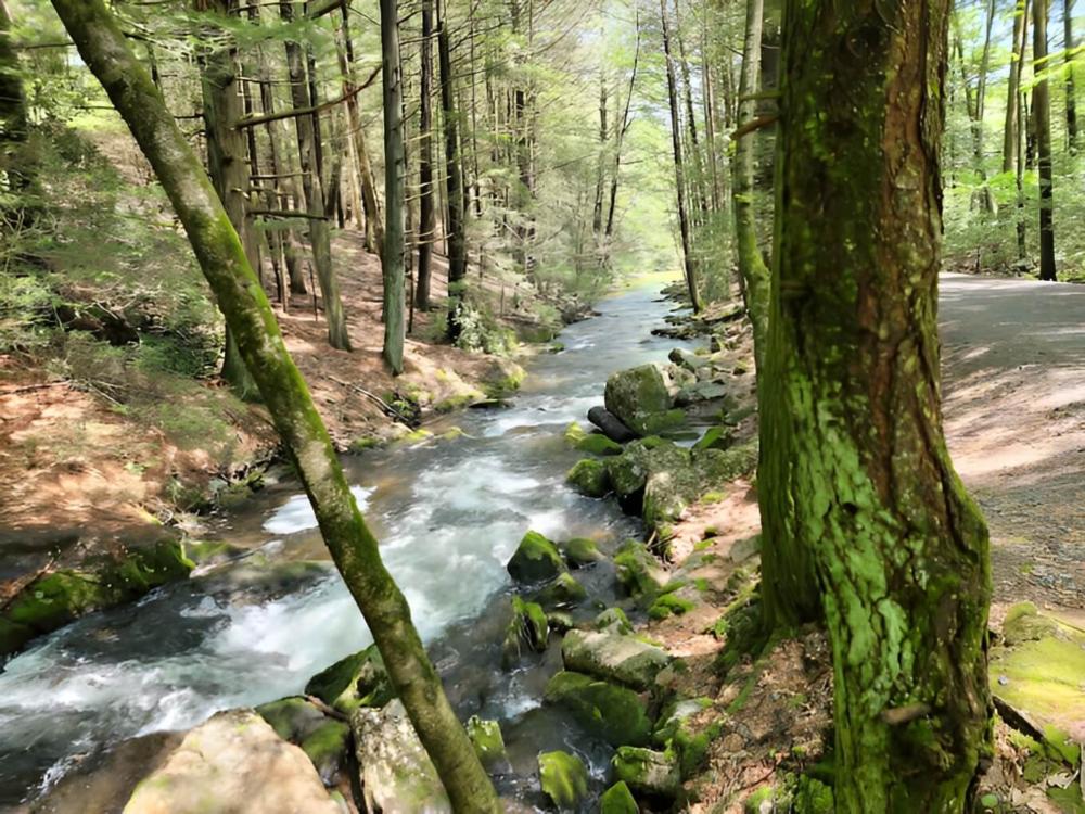 Creek at Jim Thorpe Camping Resort
