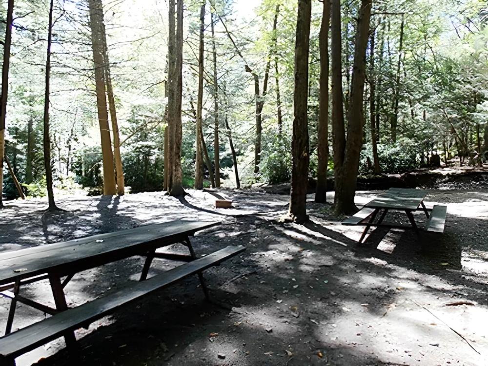 Campsite at Jim Thorpe Camping Resort