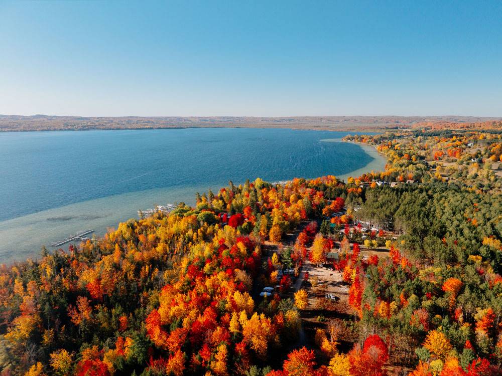 Aerial view of fall foliage