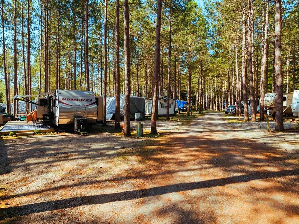 Tree lined, shaded sites