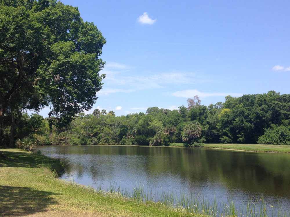 Scenic view of the river at SUGAR MILL RUINS TRAVEL PARK