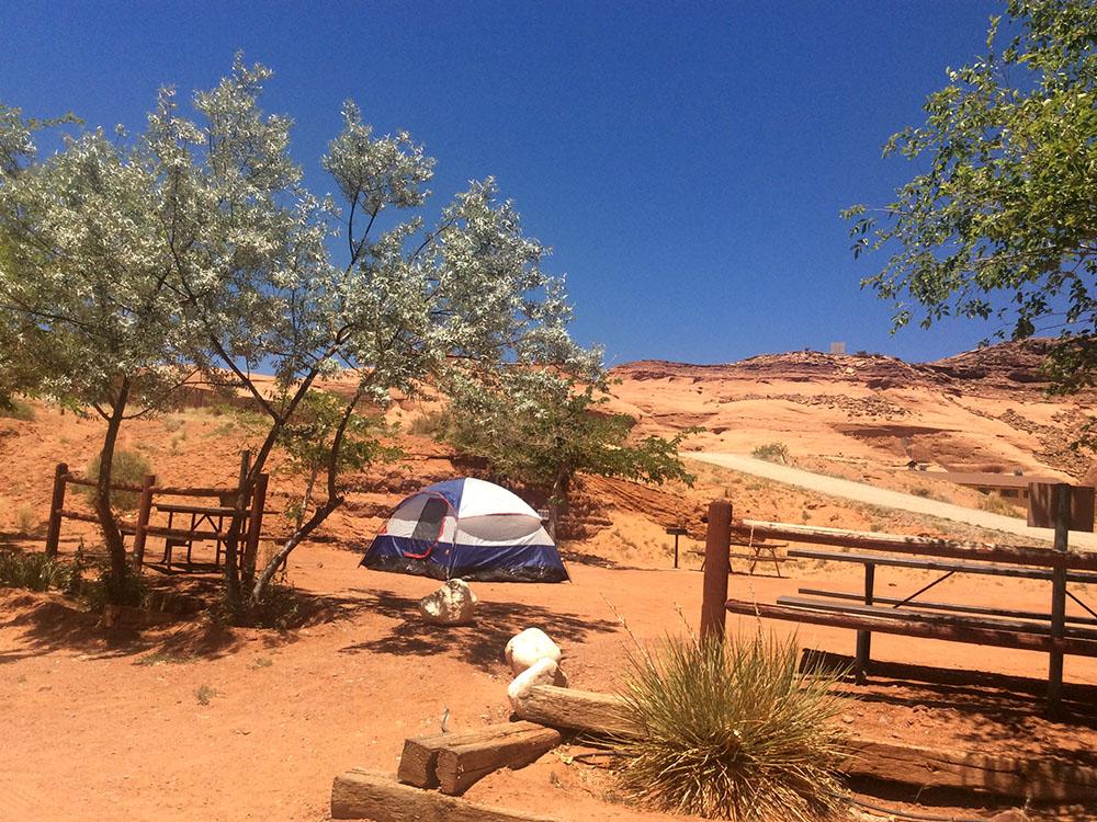 Tent under a tree at GOULDING'S MONUMENT VALLEY CAMPGROUND & RV PARK