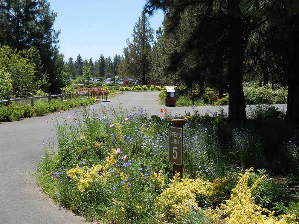 Road leading into campground at BEND/SISTERS GARDEN RV RESORT