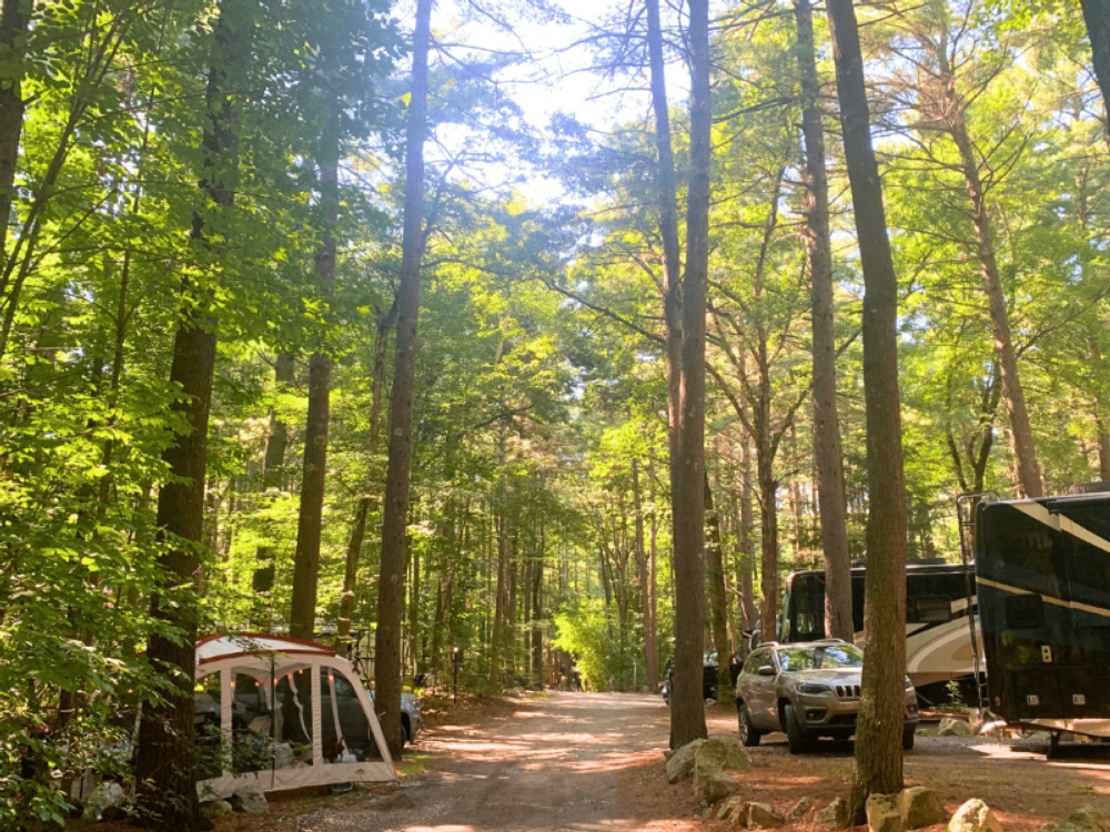 Tree lined sites at Spacious Skies Minute Man Campground