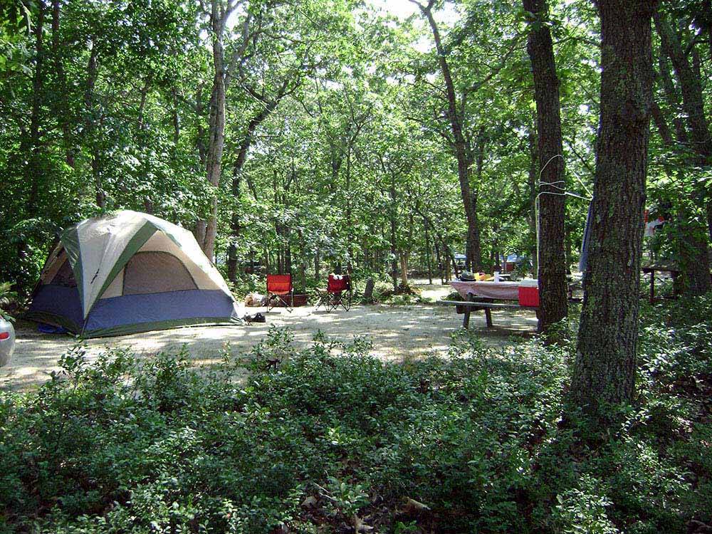 Tent camping at MARTHA'S VINEYARD FAMILY CAMPGROUND