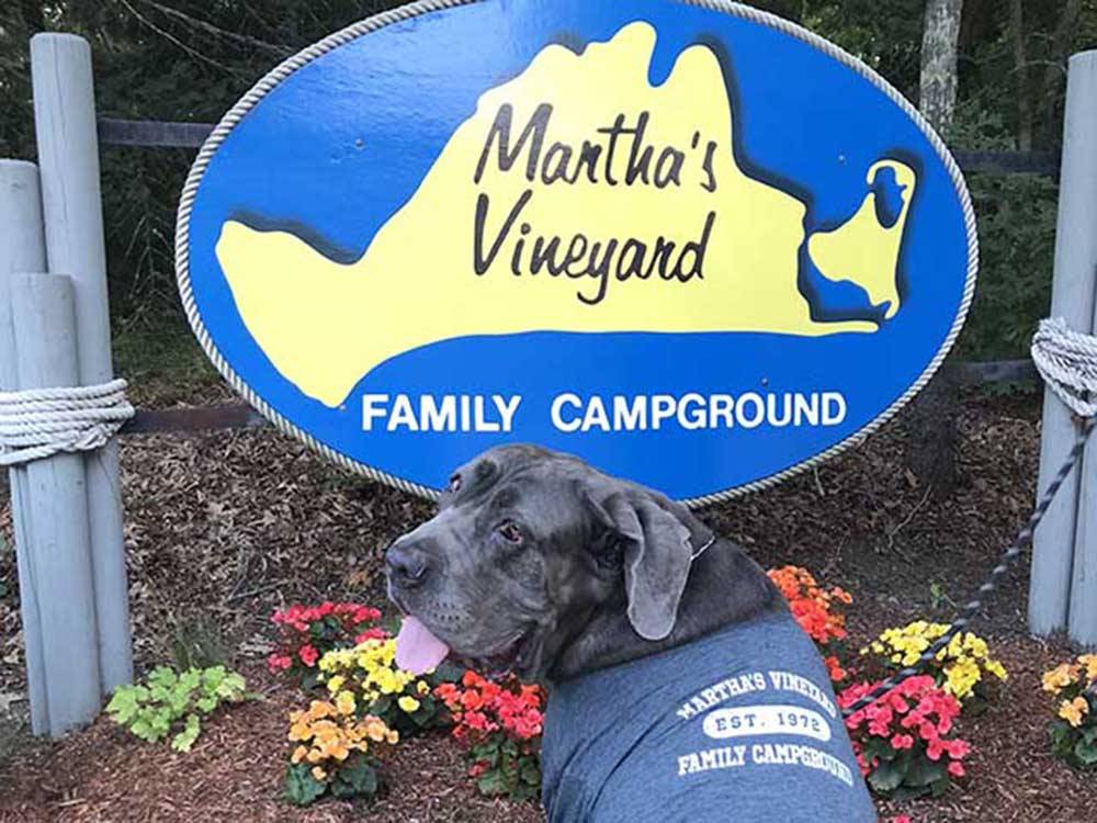 The front entrance sign at MARTHA'S VINEYARD FAMILY CAMPGROUND