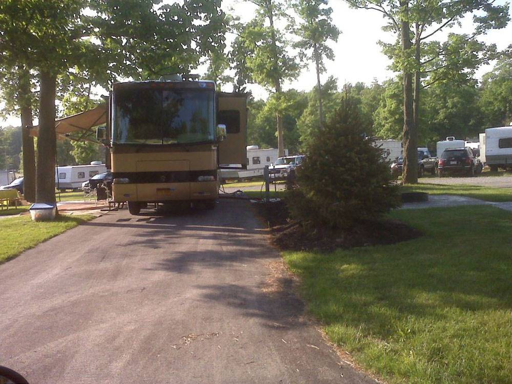A motorhome in a shaded RV site