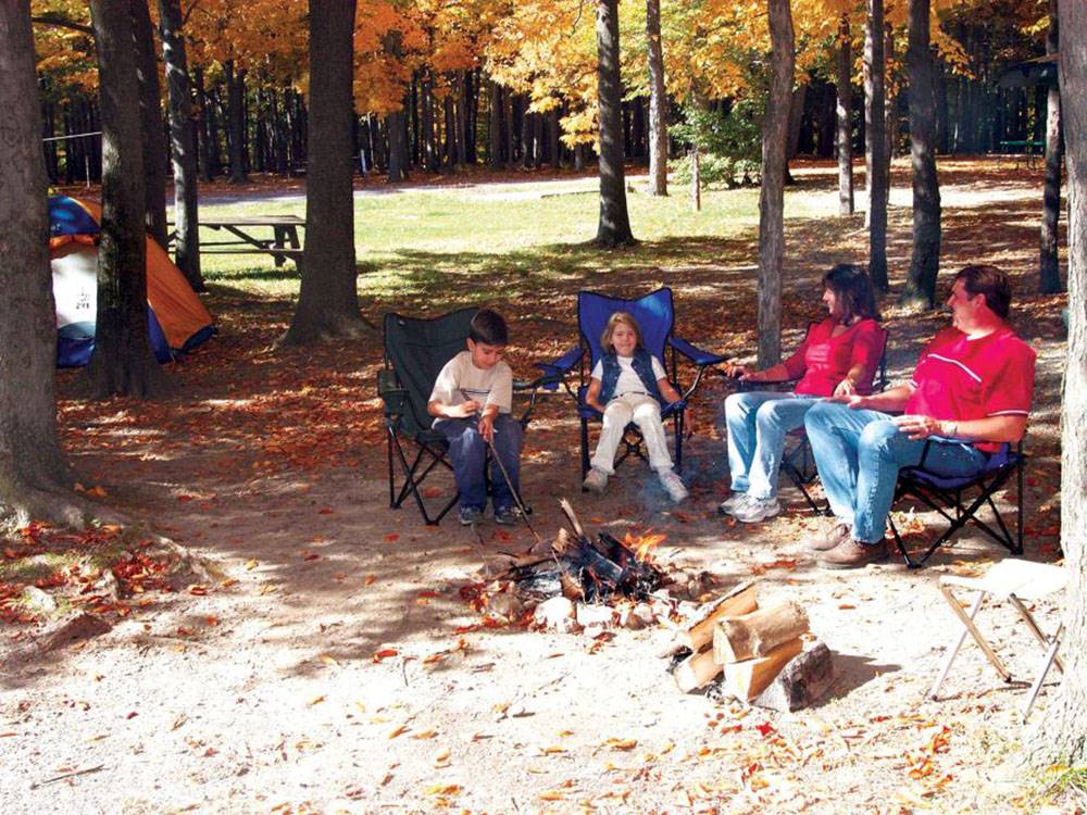 A family relaxing around a campfire