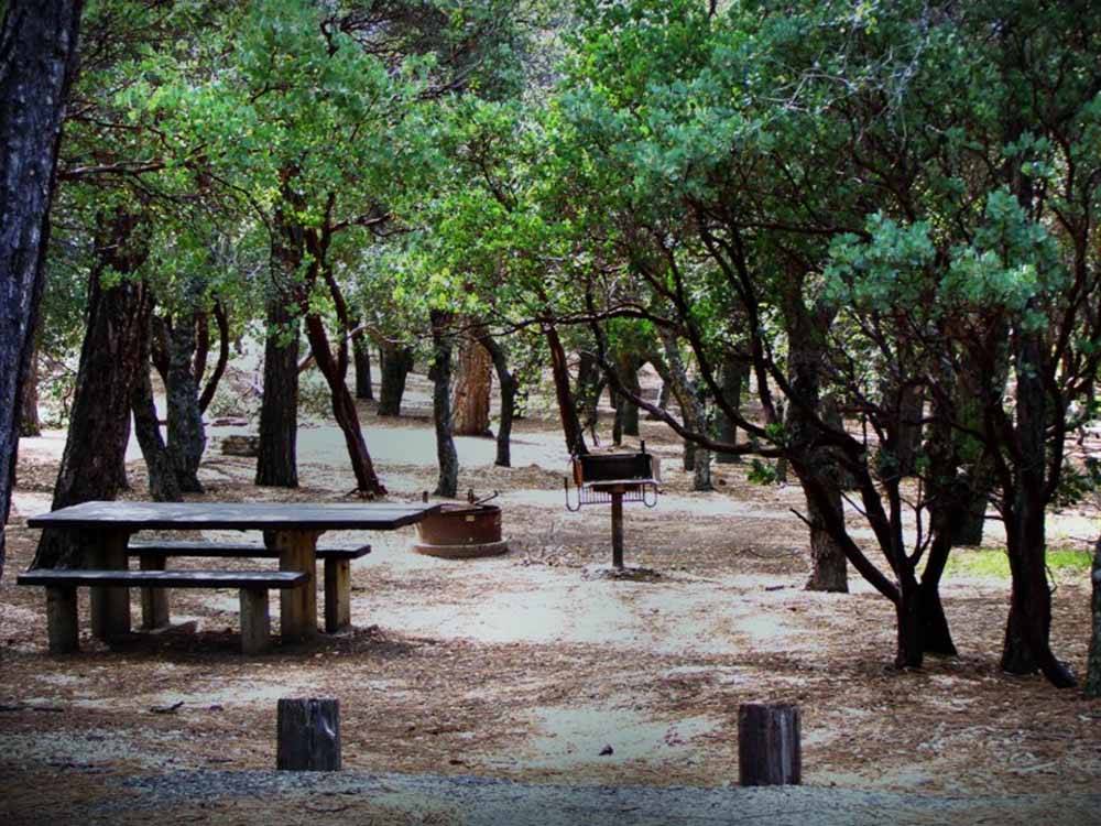 A picnic table and BBQ at AVALON CAMPGROUND