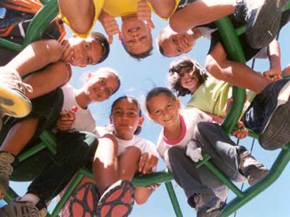 A group of kids looking down from a jungle gym at AVALON CAMPGROUND