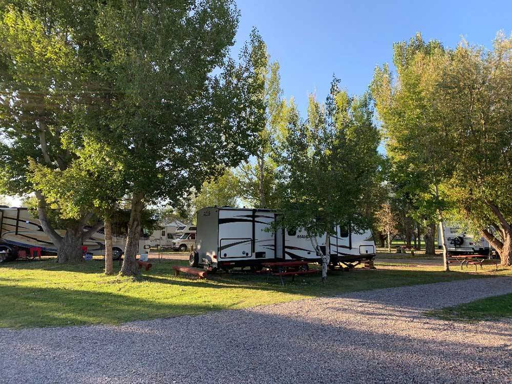 Gravel road and RVs in grassy sites at BEAVERHEAD RIVER RV PARK  CAMPGROUND