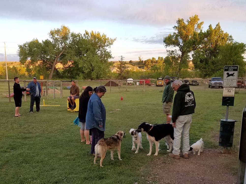 Dogs and their owners in the fenced pet area at BADLANDS / WHITE RIVER KOA HOLIDAY