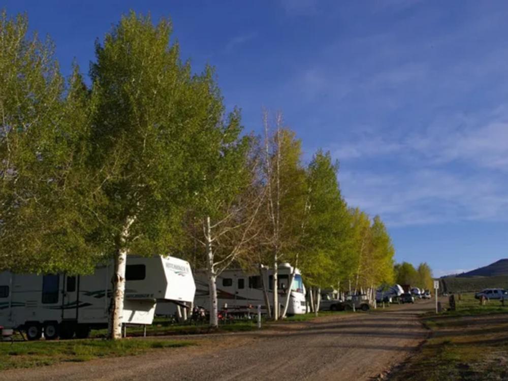 Tree-lined sites at Oasis RV Resort & Cottages Gunnison Lakeside