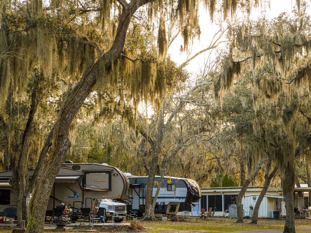 Two fifth-wheels under tropical trees at HOLIDAY RV VILLAGE