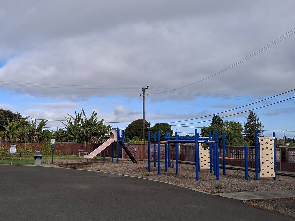 Playground at park