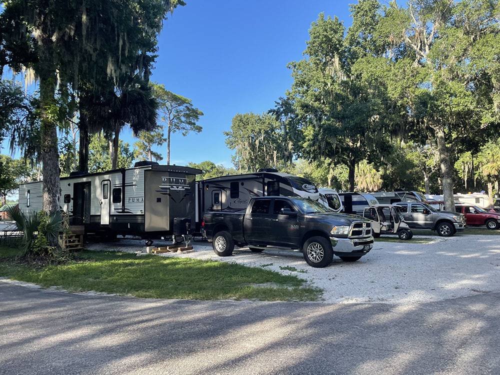 RV sites under shade trees