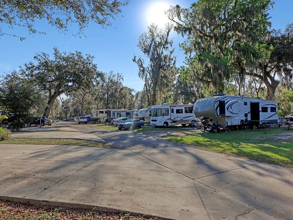 A view of RV sites under shade trees