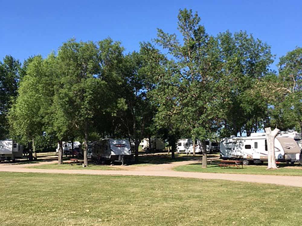 RVs parked near trees at JAMESTOWN CAMPGROUND