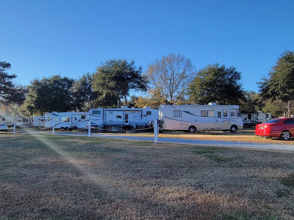 RVs lined up at Cunningham RV Park