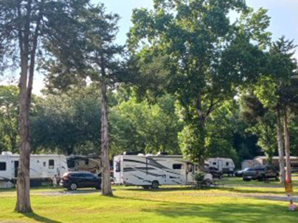 RVs parked at sites with trees at Cunningham RV Park