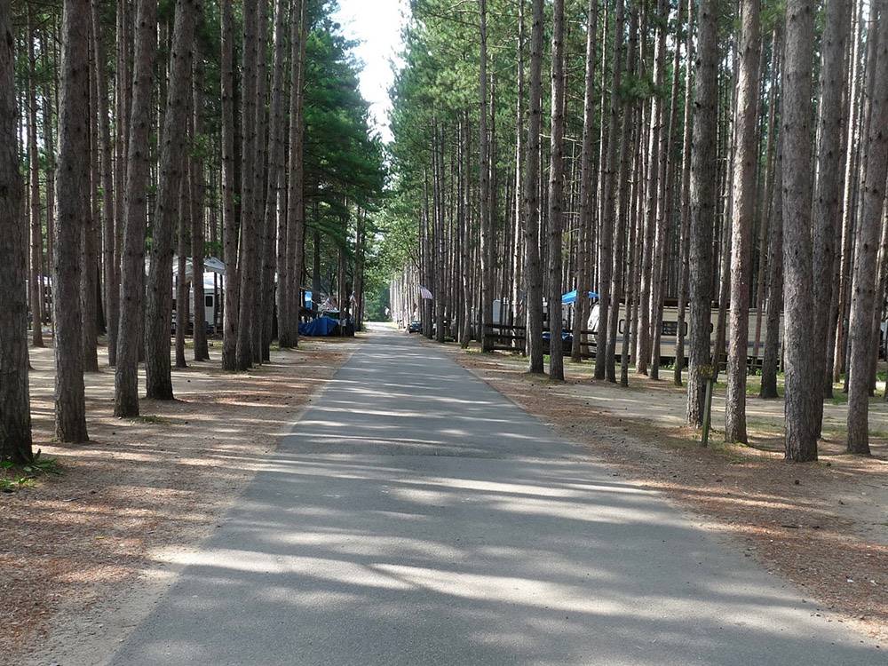 The road between the RV sites at PEARL LAKE RV CAMPGROUND BY RJOURNEY