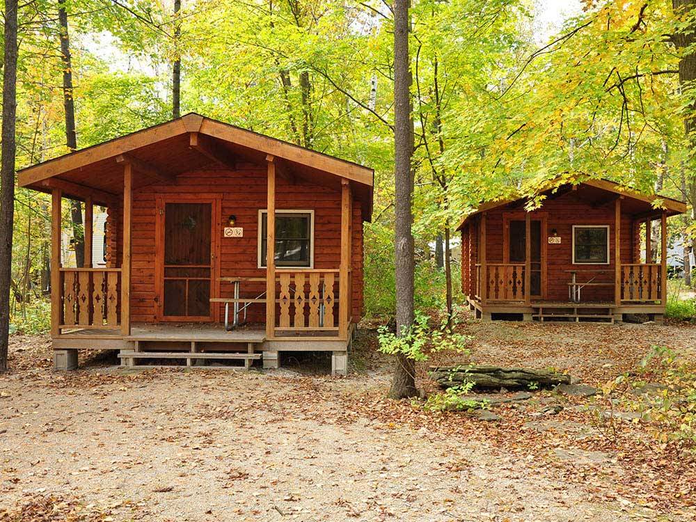Cabins with decks at TRANQUIL TIMBERS