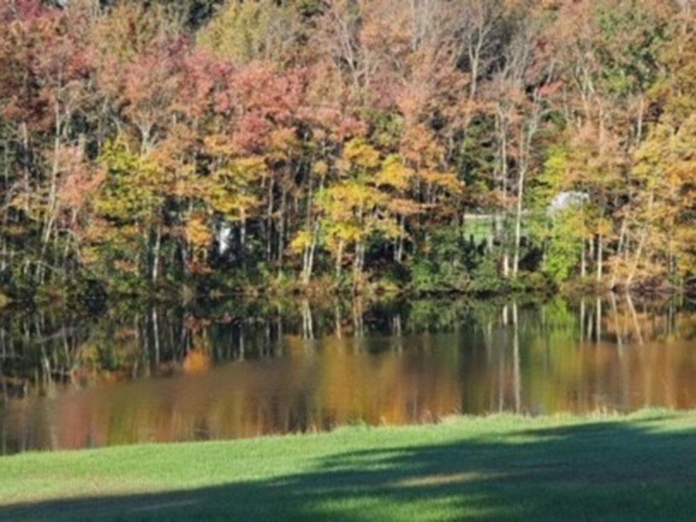 Waterfront trees in fall at COLALUCA FAMILY CAMPGROUND