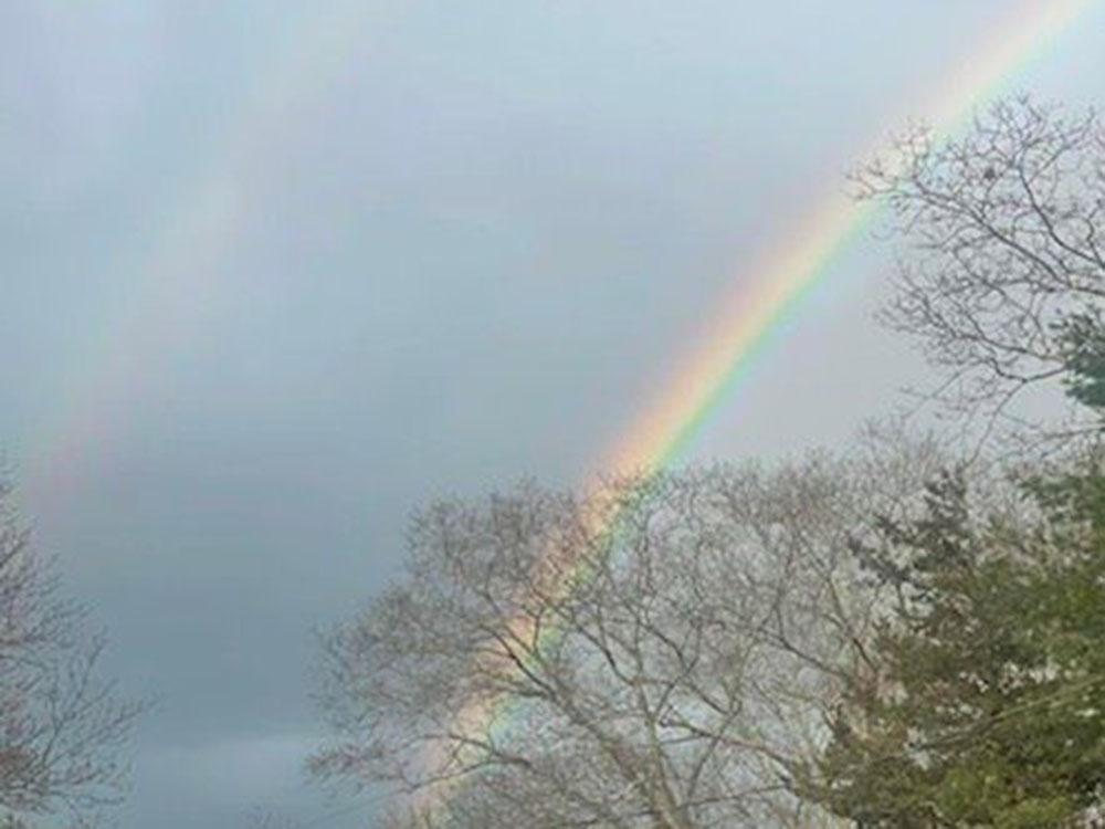 Rainbow over the trees at COLALUCA FAMILY CAMPGROUND