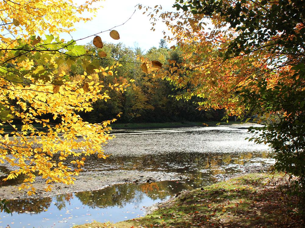 A view of the river with autumn trees at PROSPECT MOUNTAIN CAMPGROUND