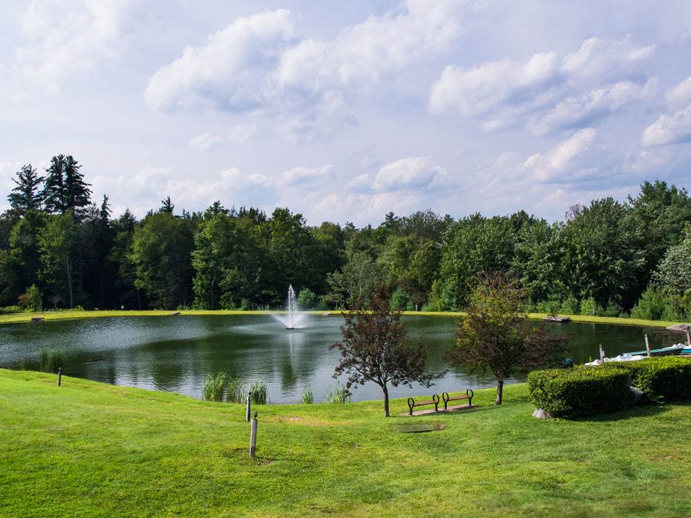 A fountain in the pond