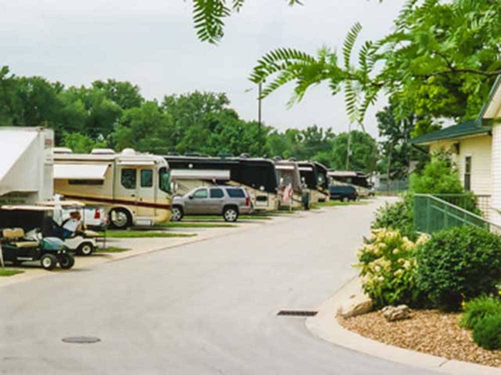 RVs set up at park with trees in background at SUNDERMEIER RV PARK