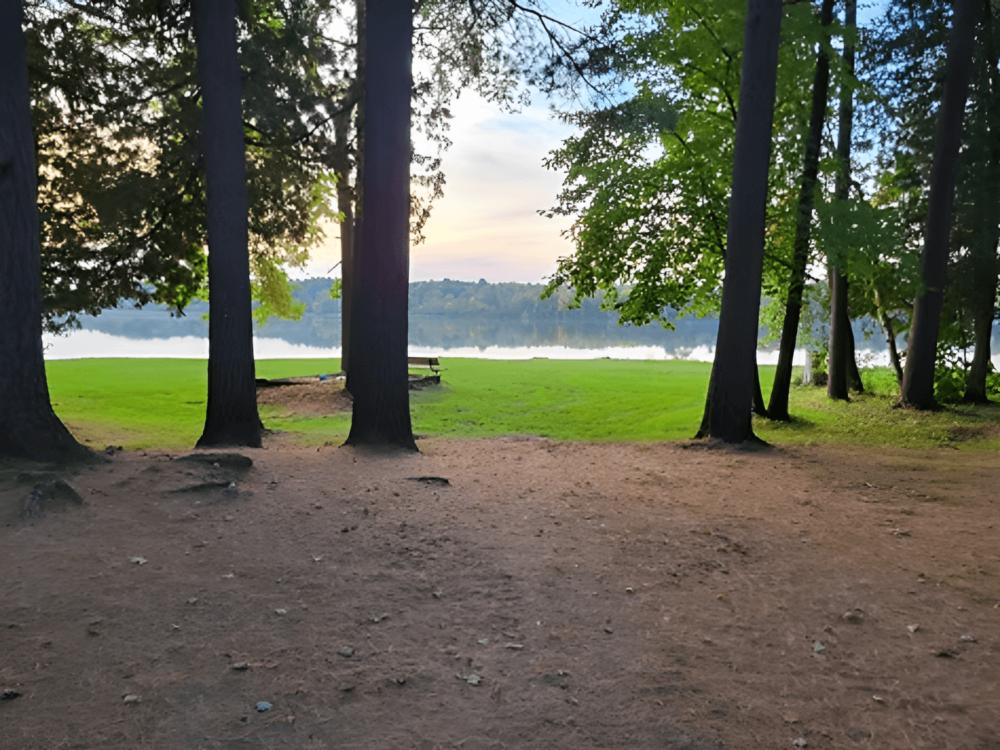 Trees with lake view at Bear Lake Campground