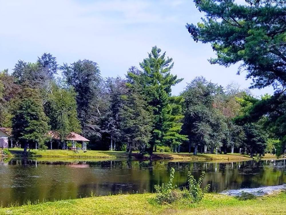 Trees and pond near the pavilion
