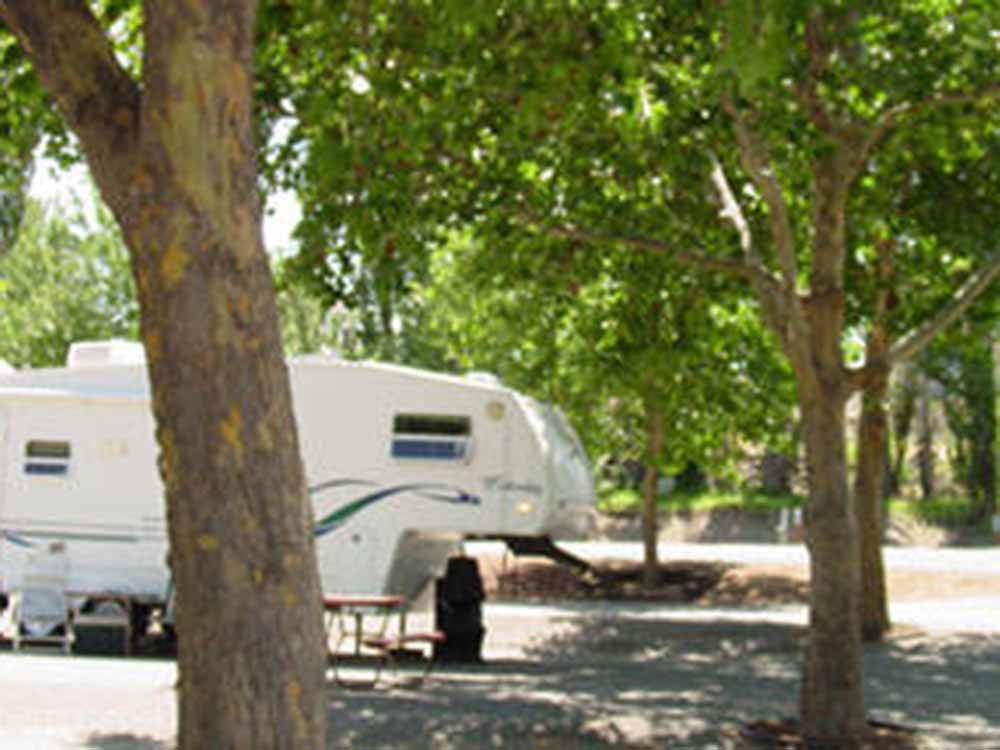 A fifth wheel trailer in a RV site at WRIGHT'S DESERT GOLD MOTEL & RV PARK