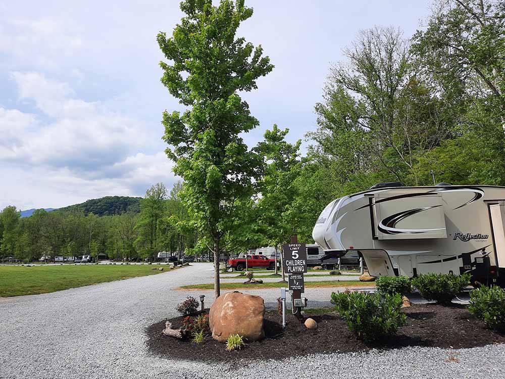 A row of RV sites with trees at GREENBRIER CAMPGROUND