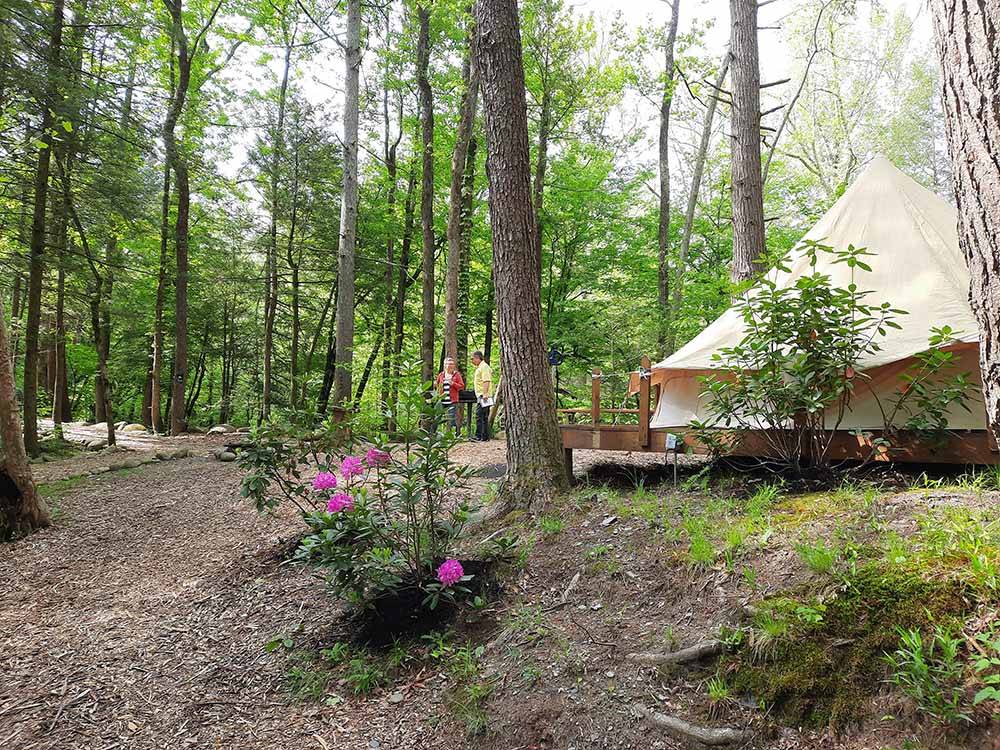 People standing in front of one of the rental glamping tent at GREENBRIER CAMPGROUND