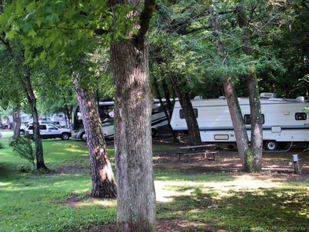 A row of RVs under the trees at GREENBRIER CAMPGROUND