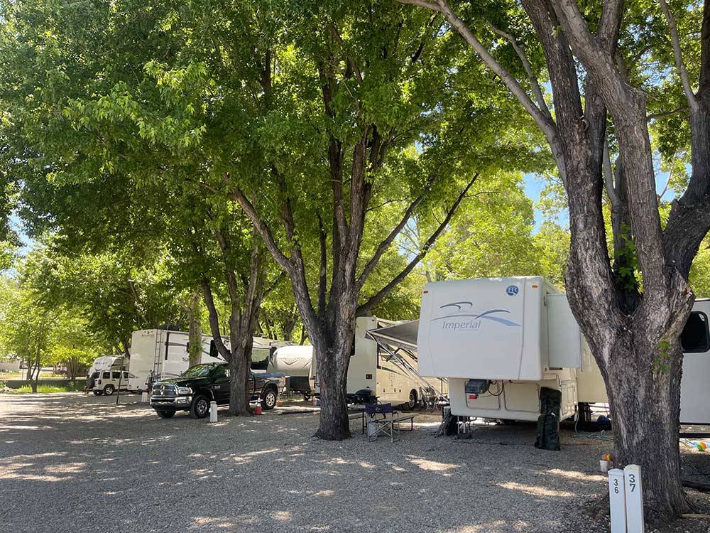 A row of trailers parked in gravel sites under trees at MUNDS PARK RV RESORT