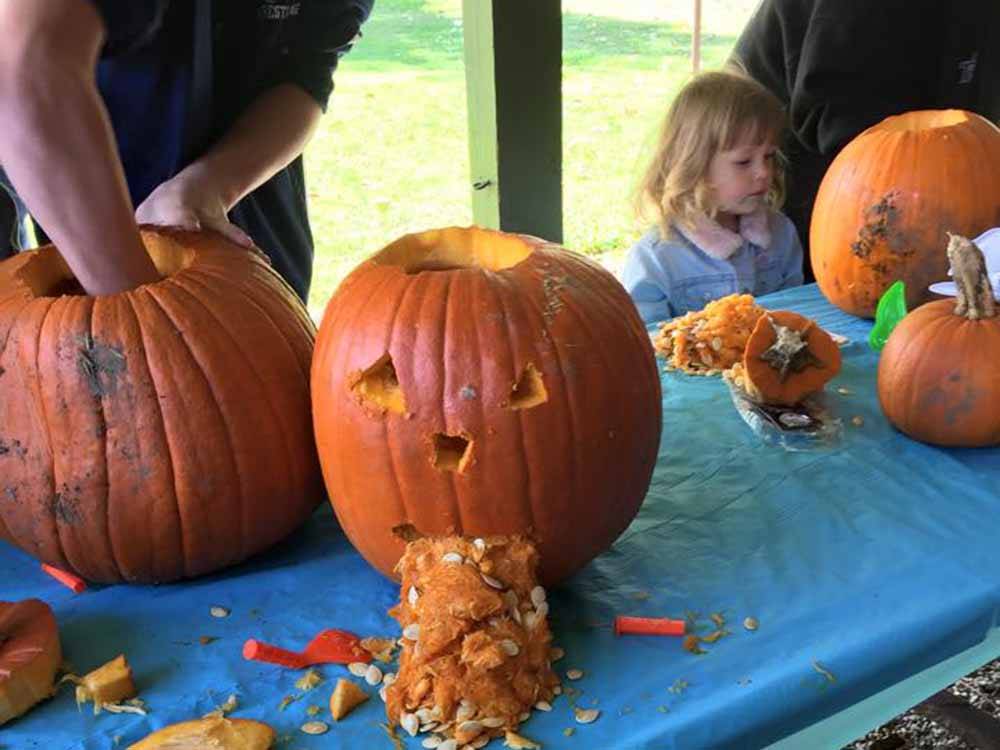 A group of people carving pumpkins at BEAVER MEADOW FAMILY CAMPGROUND
