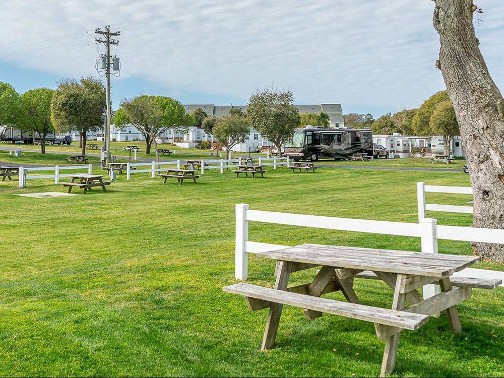 Grassy area with picnic tables at HOLIDAY TRAV-L-PARK RESORT