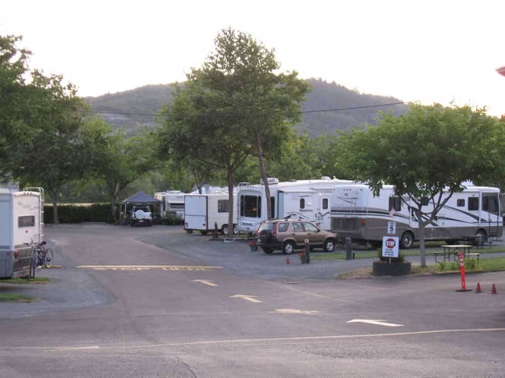 The paved road between RV sites at ROGUE VALLEY OVERNITERS
