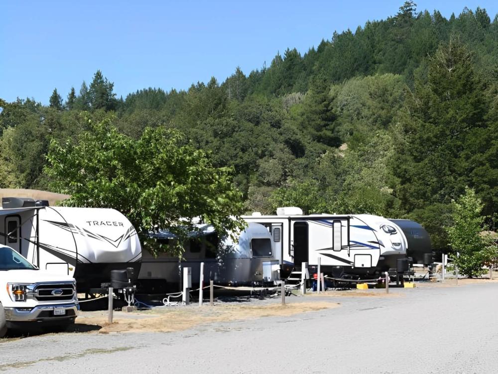 RVs parked in sites