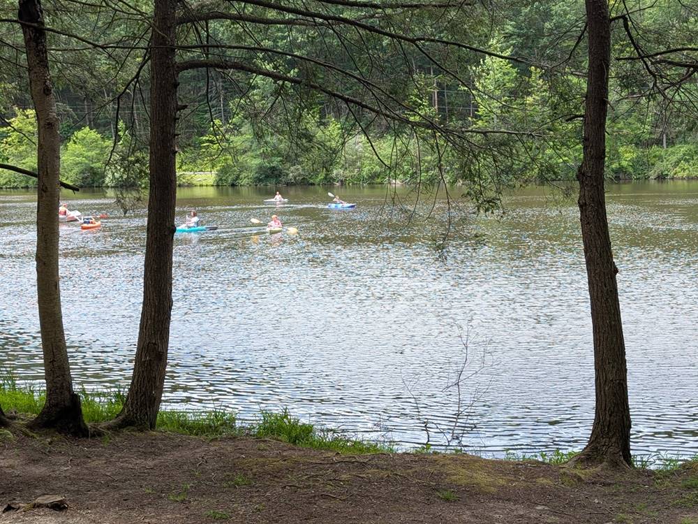 People kayaking