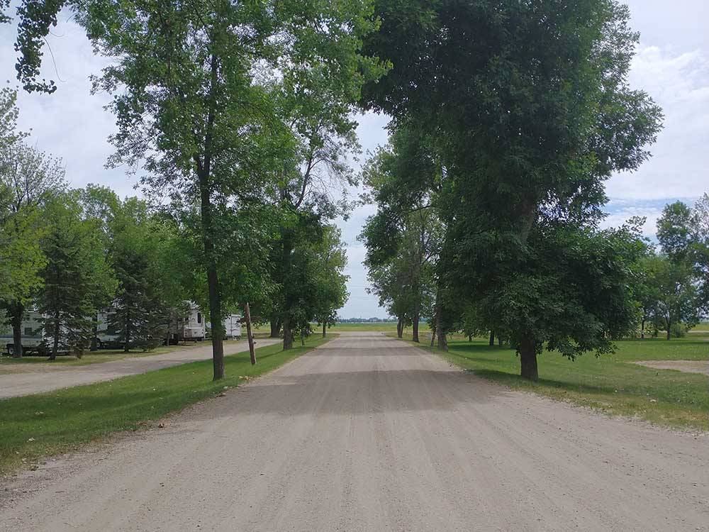 Tree-lined road leading to campsites at GRAND FORKS CAMPGROUND