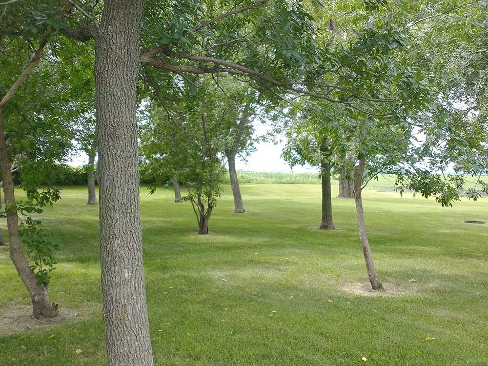 New trees planted throughout grounds at GRAND FORKS CAMPGROUND