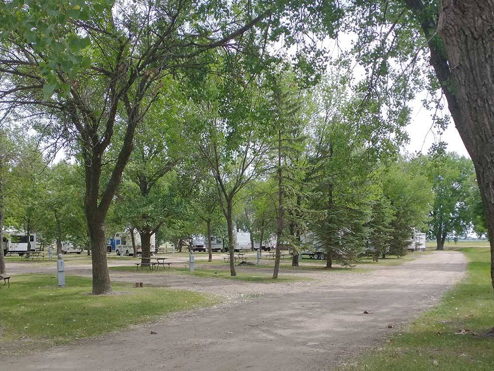 Dirt road leading to campsites at GRAND FORKS CAMPGROUND